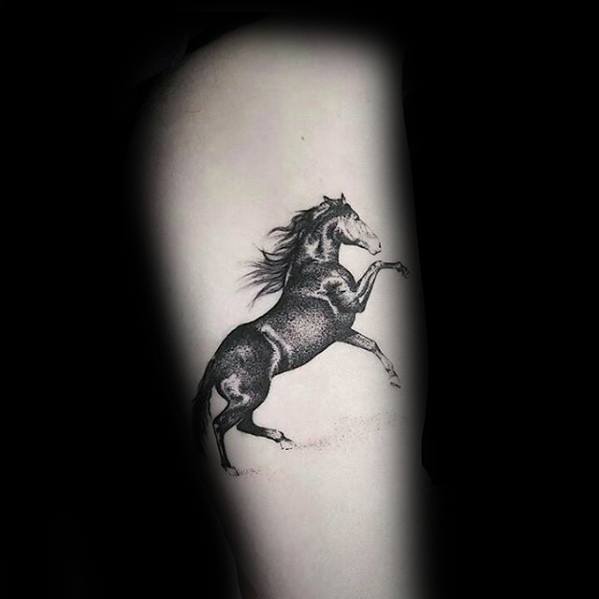 tatuaggio cavallo 224