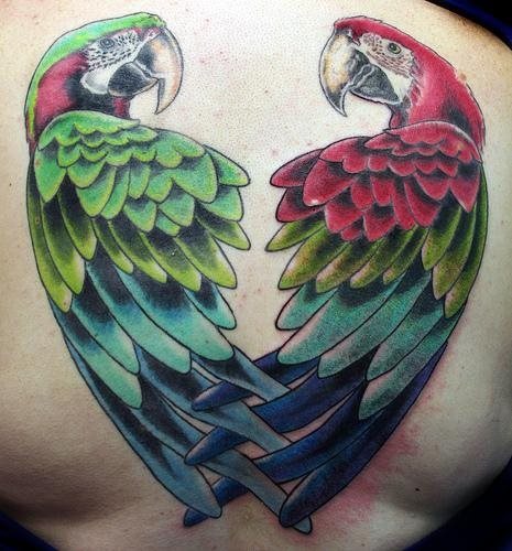 tatuaggio pappagallo 128