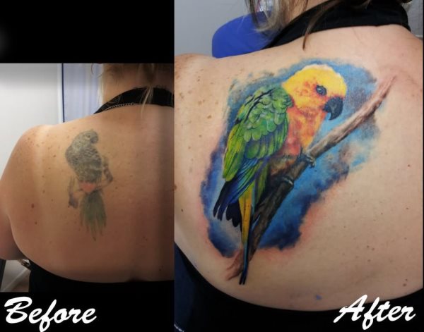 tatuaggio pappagallo 155