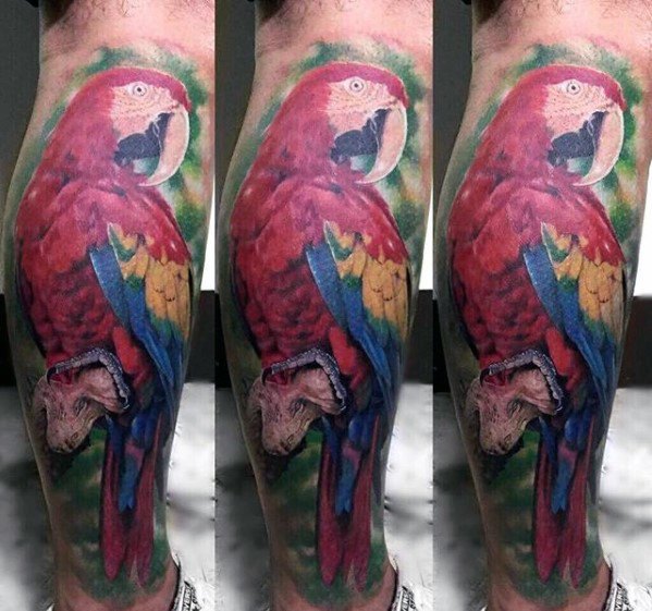 tatuaggio pappagallo 224