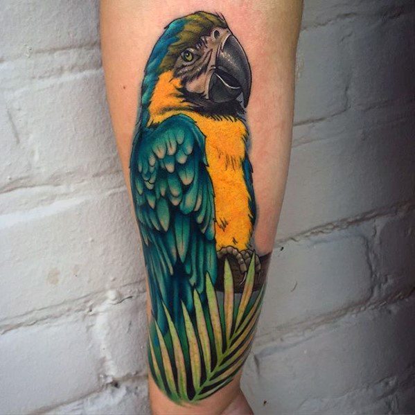 tatuaggio pappagallo 230