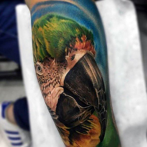 tatuaggio pappagallo 251