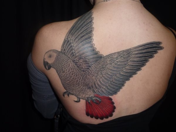 tatuaggio pappagallo 68