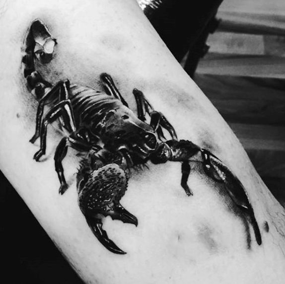 tatuaggio scorpione 209