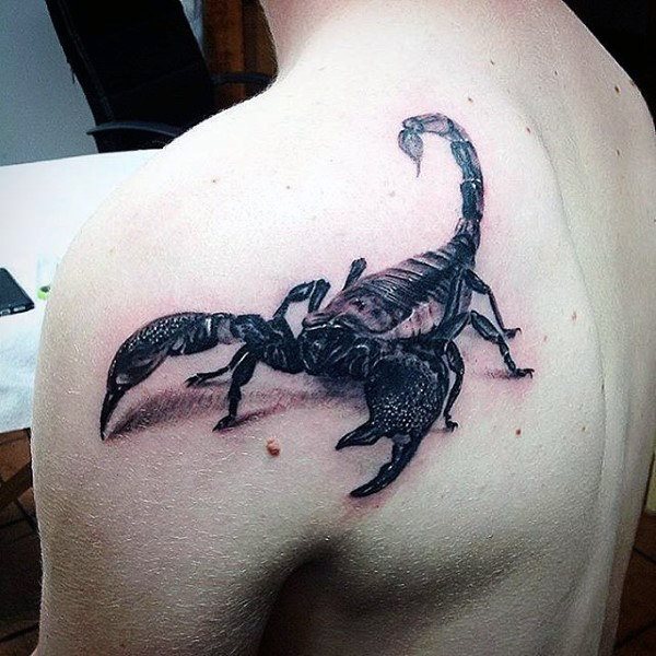 tatuaggio scorpione 221