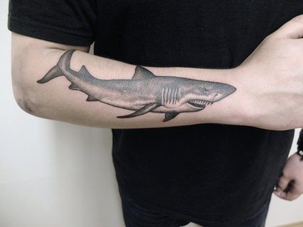 tatuaggio squalo 119
