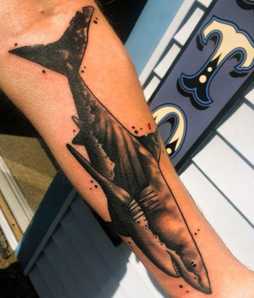 tatuaggio squalo 161