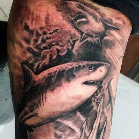 tatuaggio squalo 212