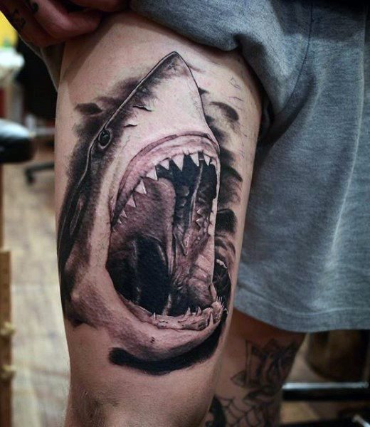 tatuaggio squalo 242