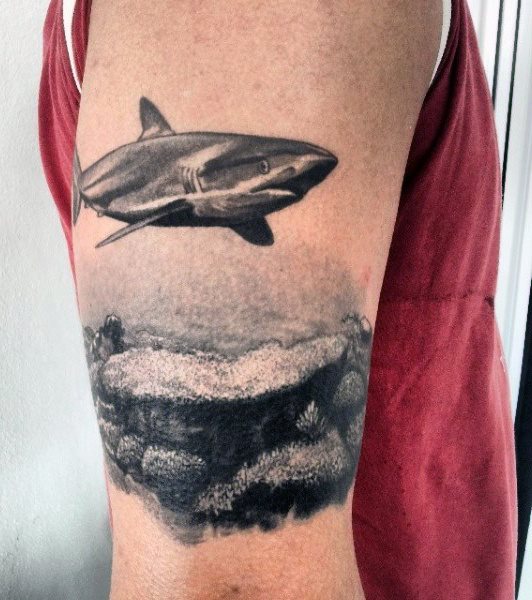 tatuaggio squalo 290