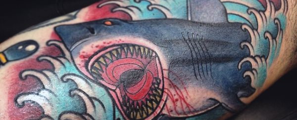 tatuaggio squalo 341
