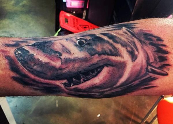tatuaggio squalo 347