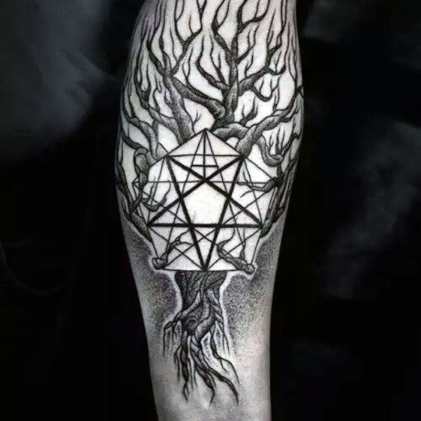 Pentagramma Occulto Cranio Di Baphomet Nella Stella Del Pentacolo Gm1438753419 479182140