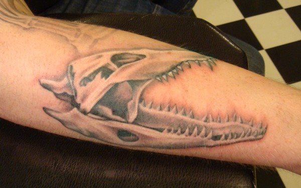 tatuaggio coccodriloo caimano 48