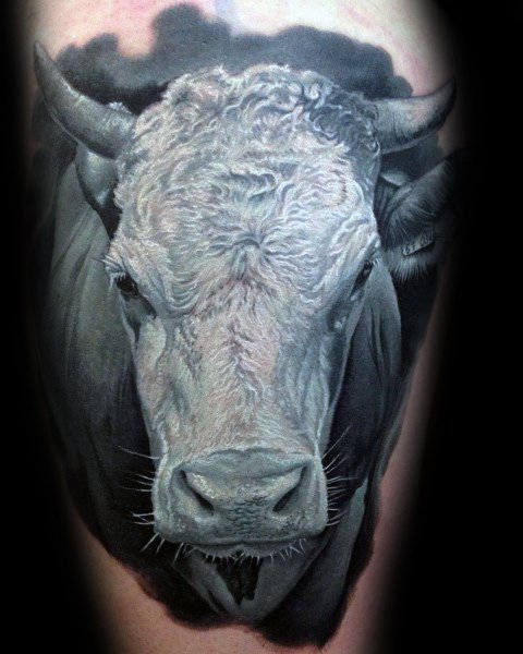 tatuaggio mucca 259