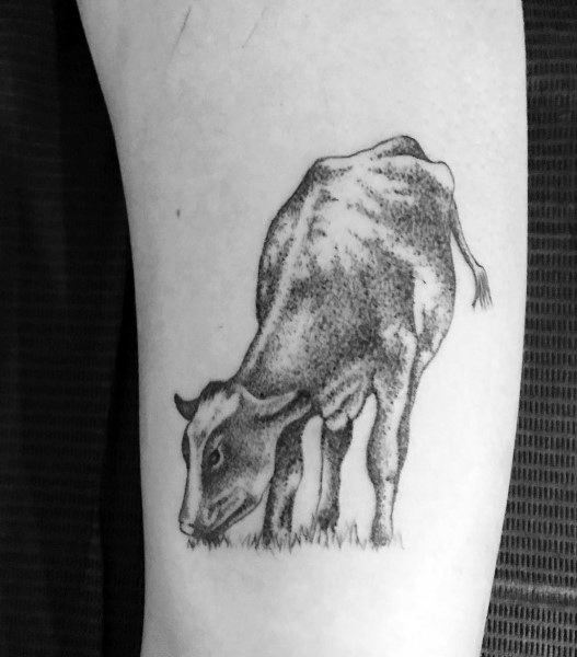 tatuaggio mucca 428
