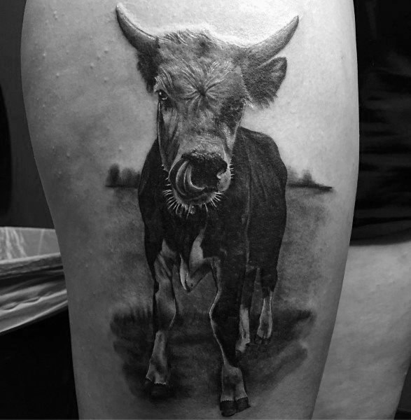 tatuaggio mucca 532
