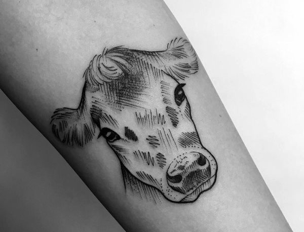 tatuaggio mucca 571