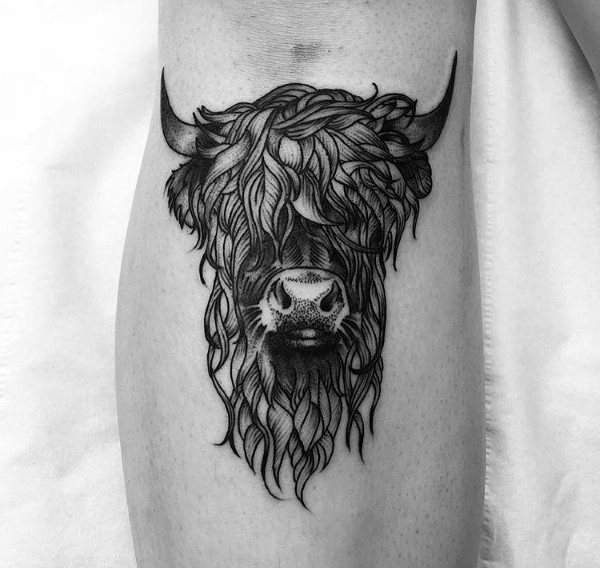 tatuaggio mucca 597