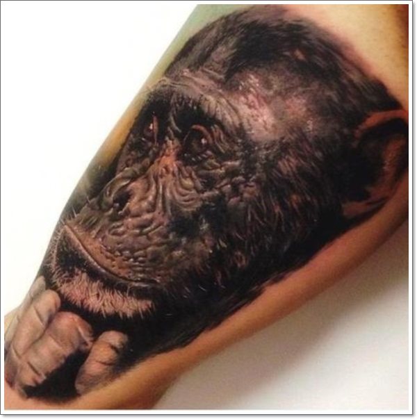 tatuaggio scimmia 386