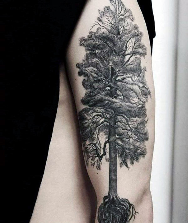 tatuaggio radici di albero 33