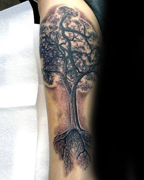 tatuaggio radici di albero 99