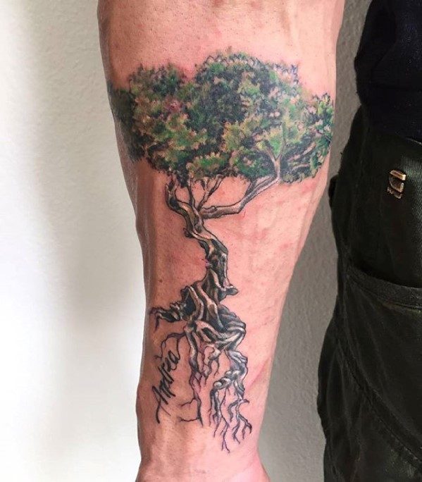 30 Tatuaggi con l'albero dell'ulivo (con significato)