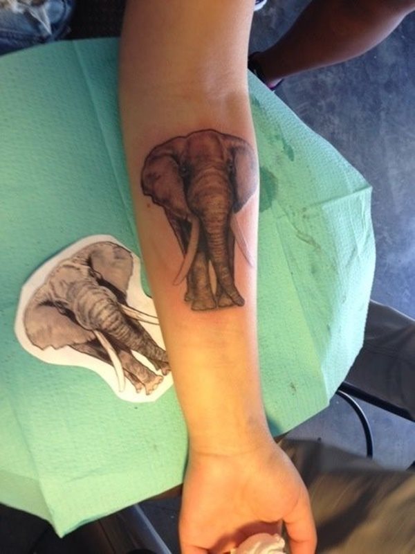 model tatuaz slon 1896