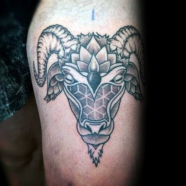 tatuaz koza 43