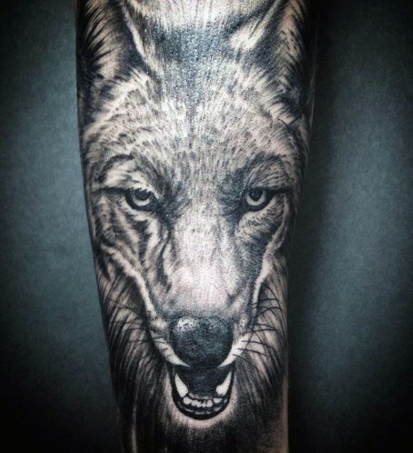 tatuaz kojot 09