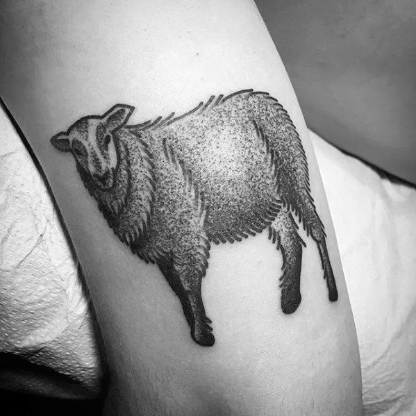 tatuaz owce 89