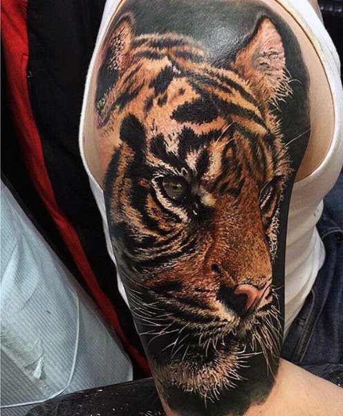 88 de tatuaje cu tigrii (simbolistica acestora)