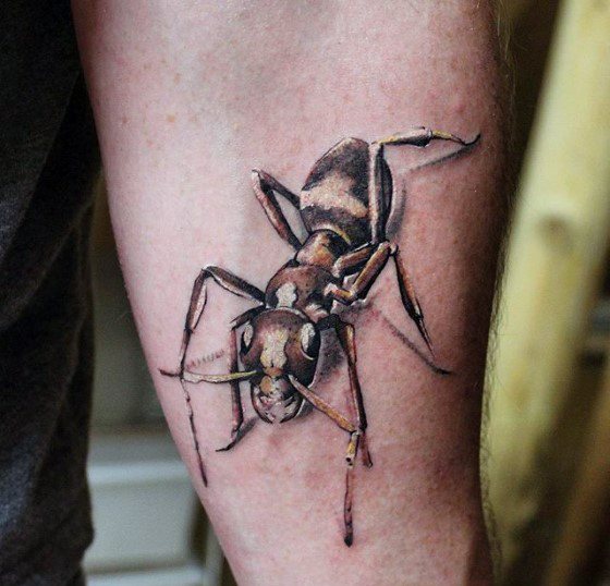45 de tatuaje cu furnici (colorate, în 3D etc) cu semnificația lor