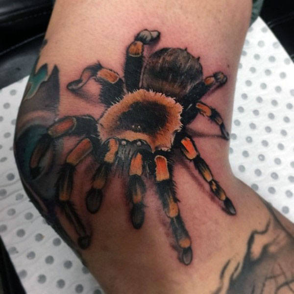 55 de tatuaje cu tarantule (cu semnificația lor)