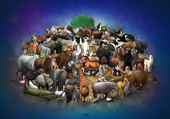 Ce simbolizează animalele? Cele mai populare 48 animale